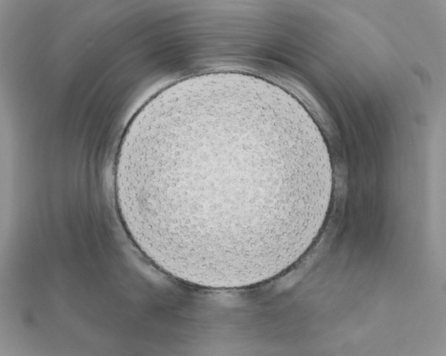 X0000111000814200907311030