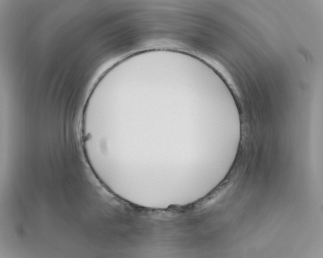 X0000111000815200907311030