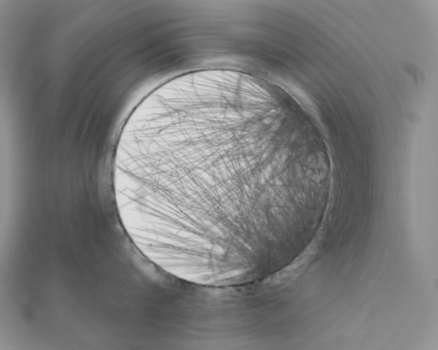 X0000111000816200907311030