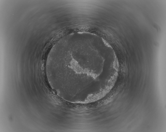 X0000111000818200907311029