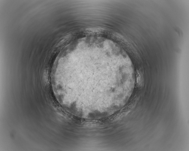 X0000111000819200907311029