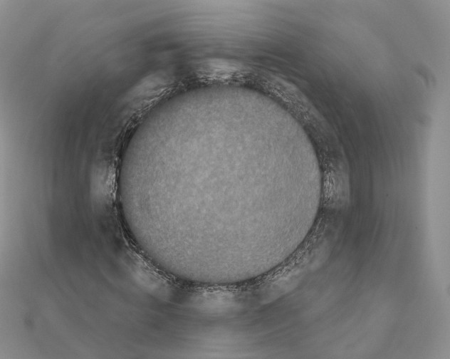 X0000111000820200907311029