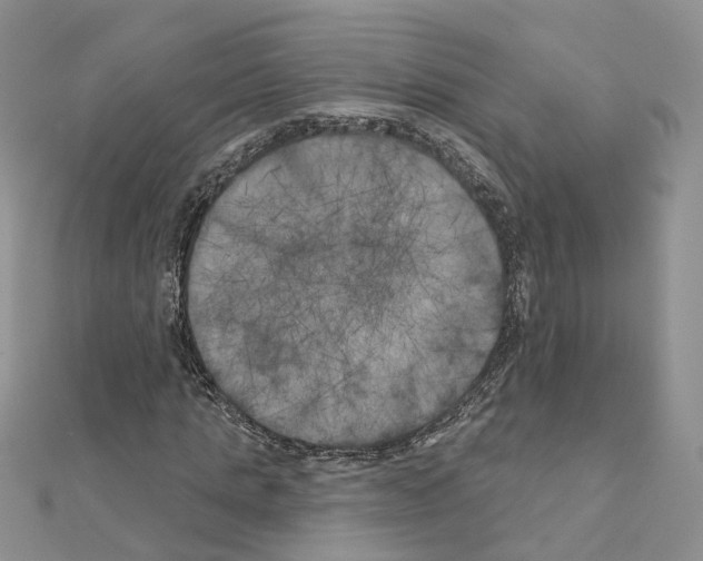 X0000111000821200907311029