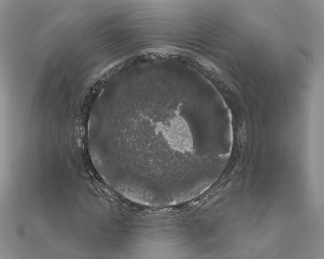 X0000111000822200907311029