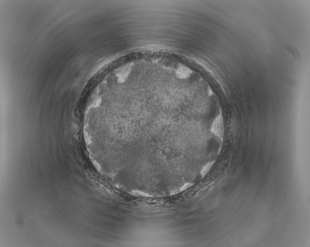 X0000111000823200907311029