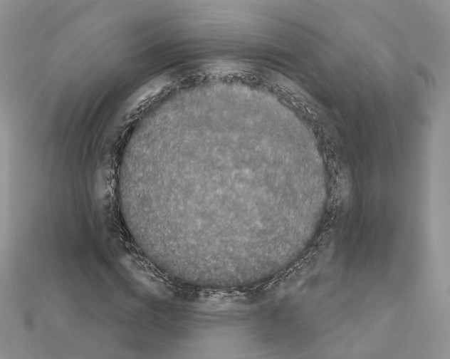 X0000111000824200907311029