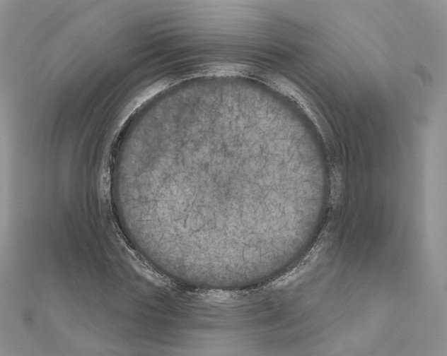 X0000111000827200907311029