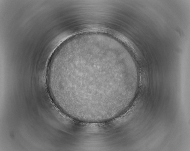 X0000111000828200907311029