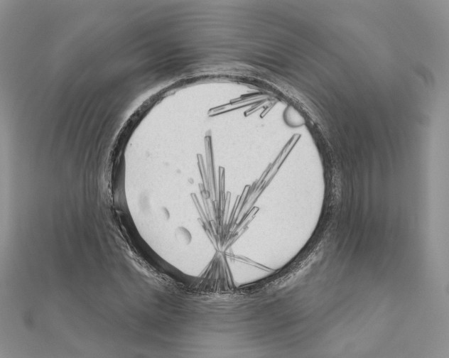 X0000111000830200907311029