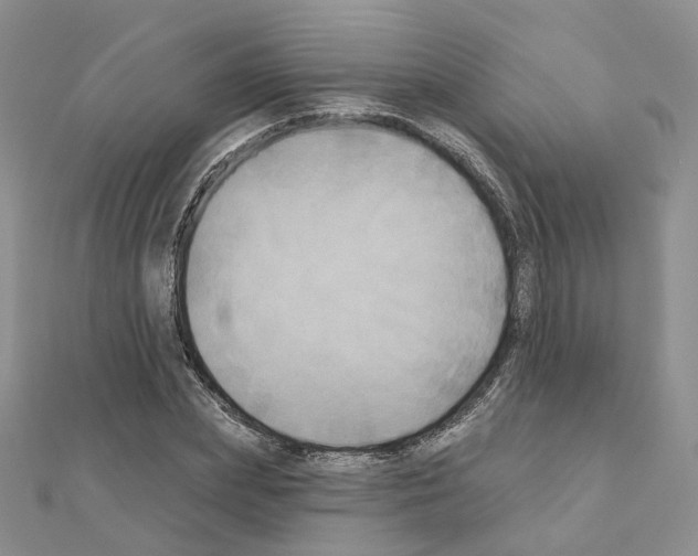 X0000111000831200907311029