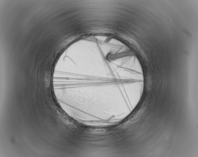 X0000111000833200907311029