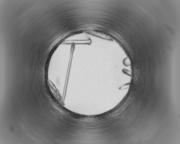 X0000111000834200907311029