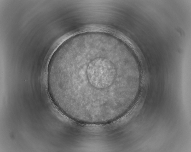 X0000111000836200907311029