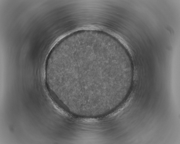 X0000111000837200907311029