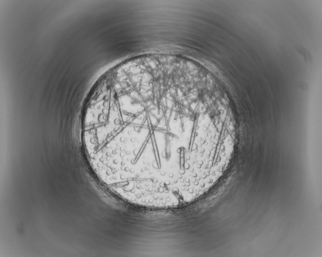 X0000111000838200907311029