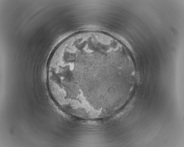 X0000111000839200907311029