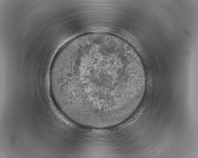 X0000111000840200907311029