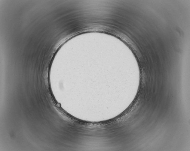 X0000111000842200907311029