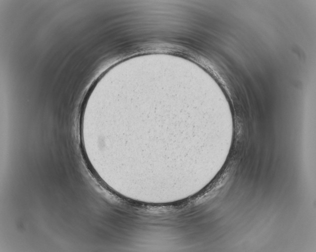 X0000111000843200907311029