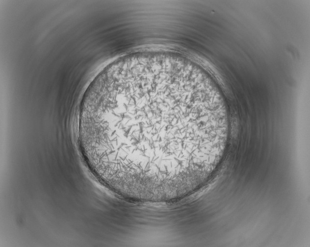 X0000111000844200907311029