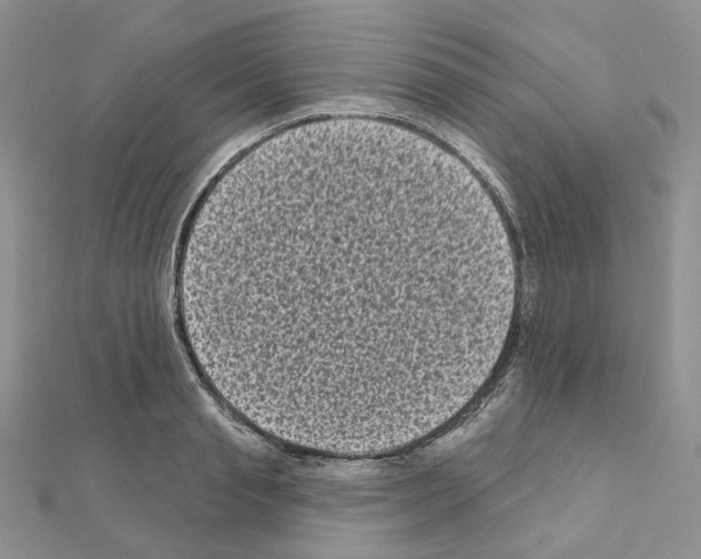 X0000111000845200907311029