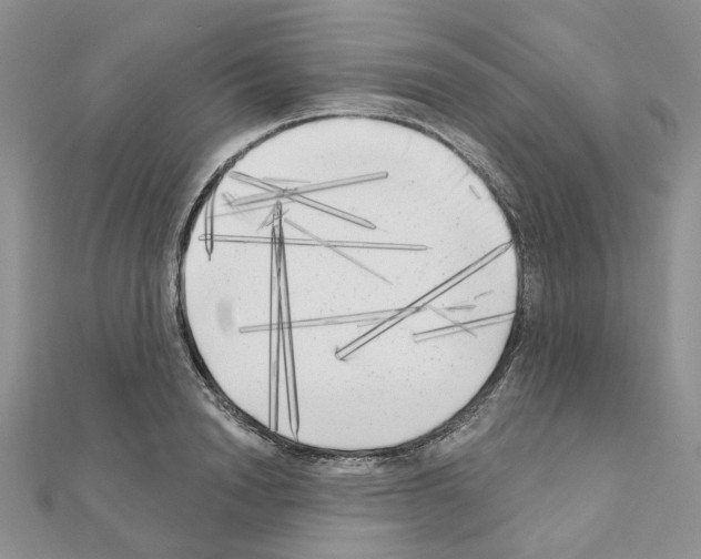 X0000111000846200907311029