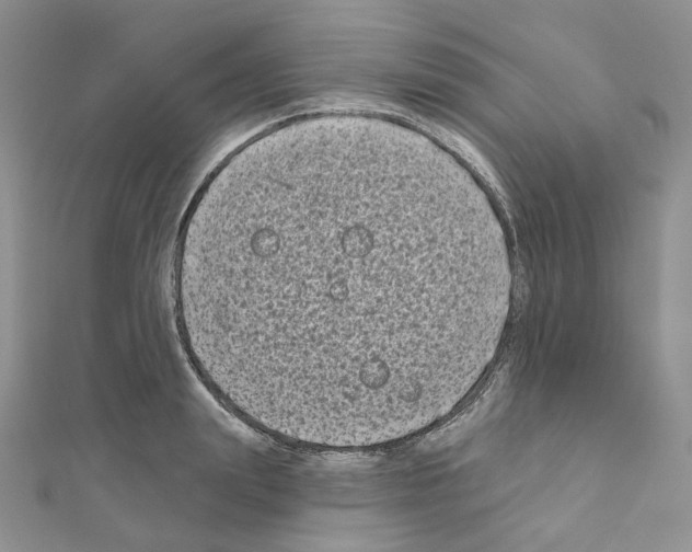 X0000111000847200907311029