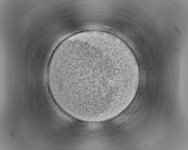 X0000111000848200907311029