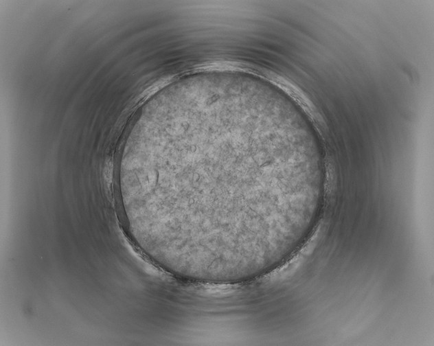 X0000111000849200907311029