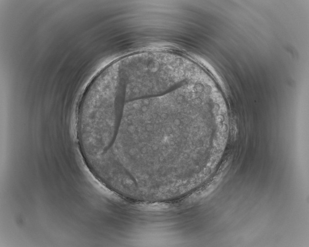 X0000111000851200907311029