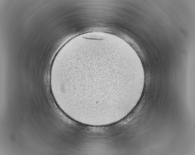 X0000111000852200907311029