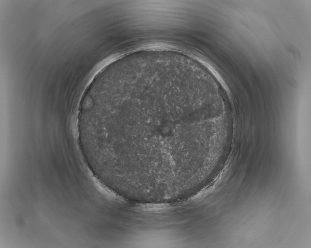 X0000111000853200907311029