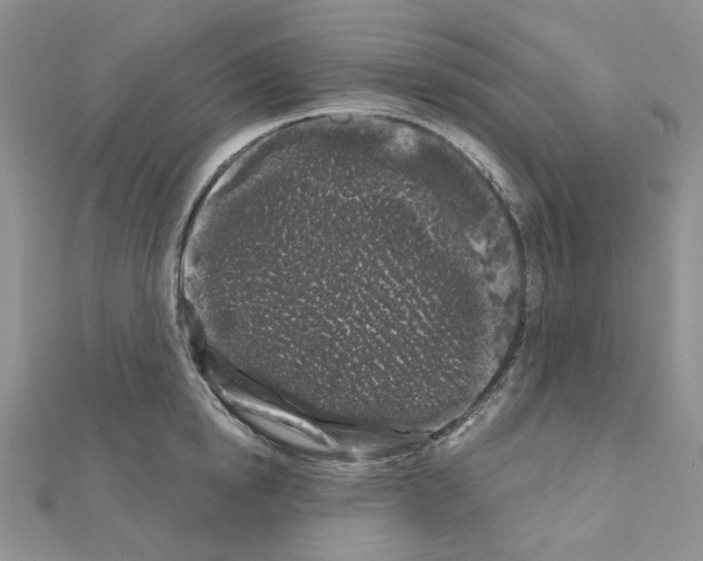 X0000111000854200907311029