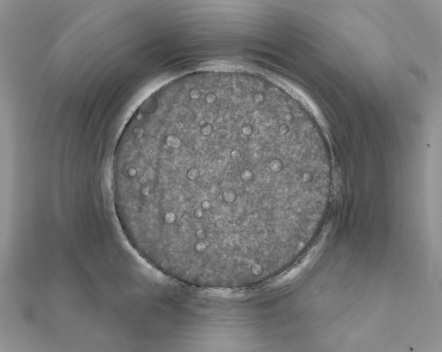 X0000111000855200907311029