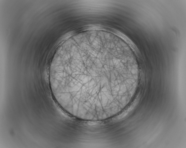 X0000111000857200907311029