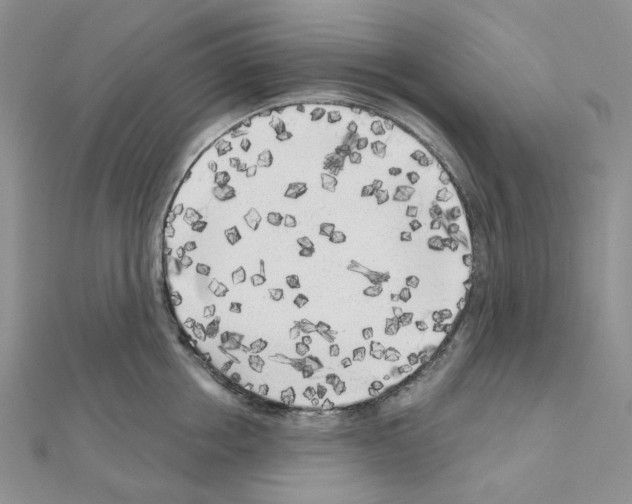 X0000111000858200907311029