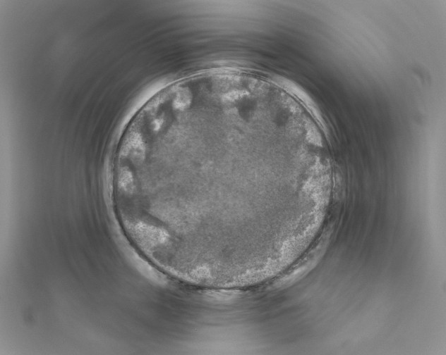 X0000111000859200907311029