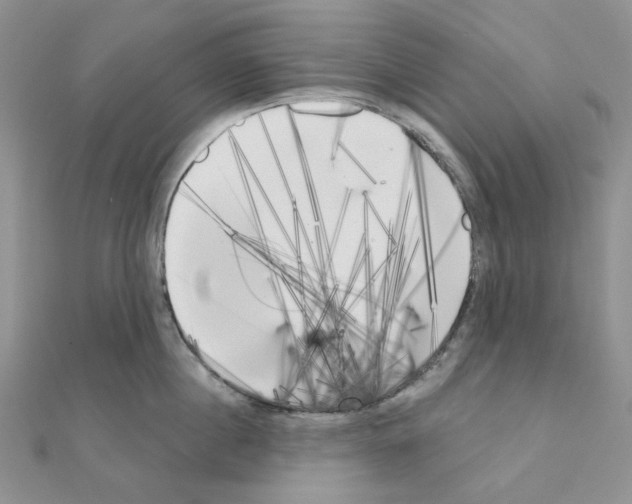 X0000111000860200907311029