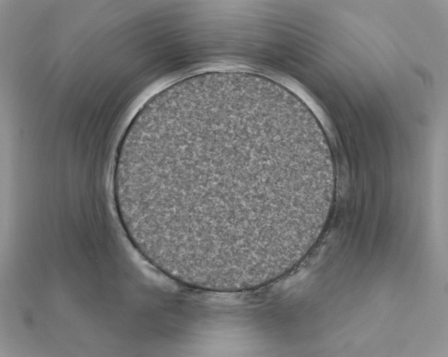 X0000111000861200907311029