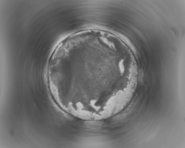 X0000111000863200907311029