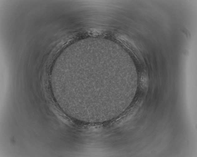 X0000111000865200907311029