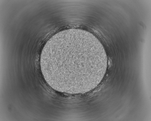 X0000111000867200907311029