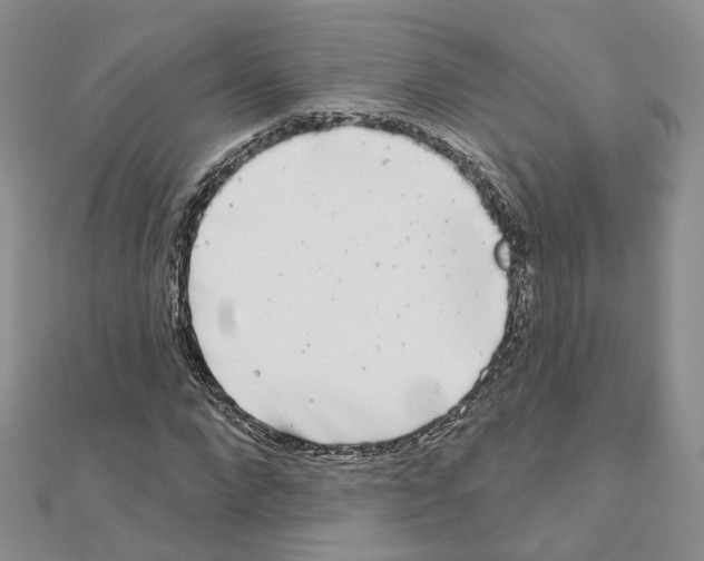 X0000111000872200907311029