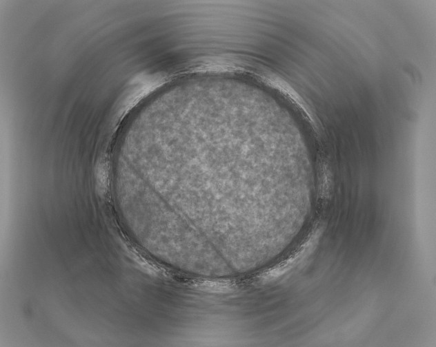 X0000111000874200907311029