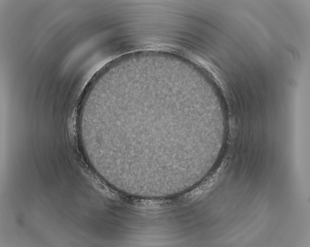 X0000111000875200907311029