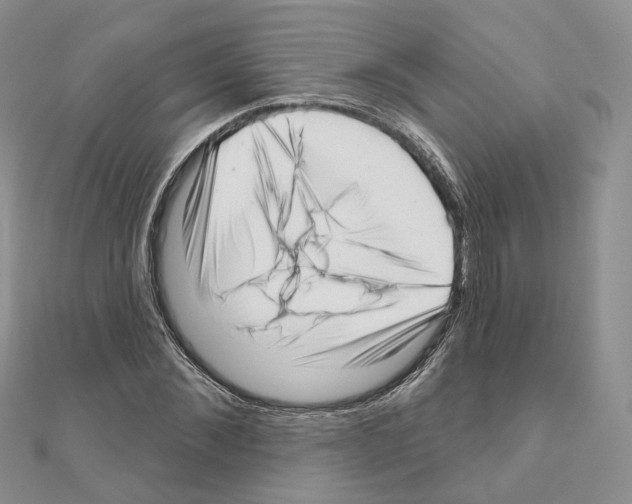 X0000111000876200907311029