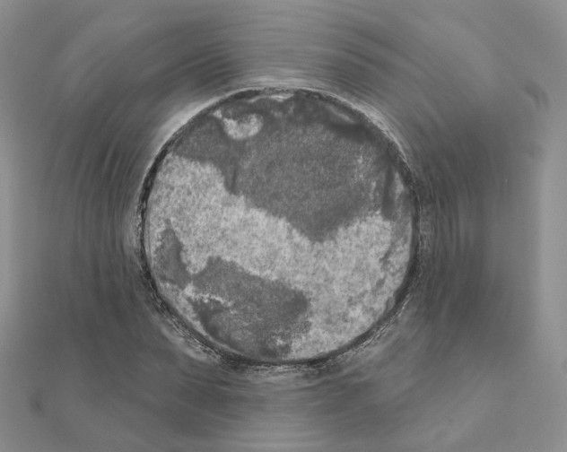 X0000111000879200907311029