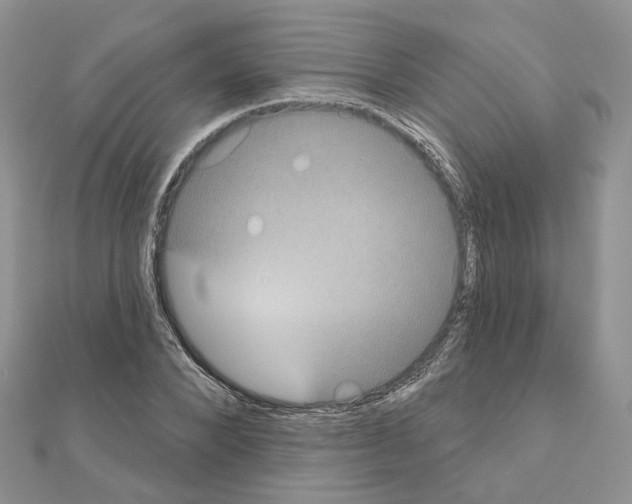 X0000111000880200907311028