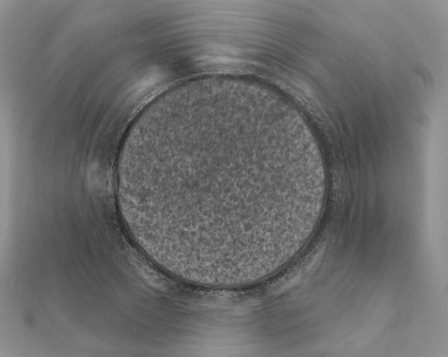 X0000111000881200907311028