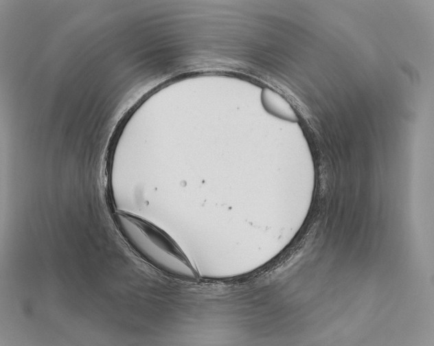 X0000111000885200907311028